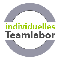individuelles Teamlabor Teambuilding für virtuelle Teams, hybride Teams  und Teamtraining für Teams vor Ort MTO-Consulting